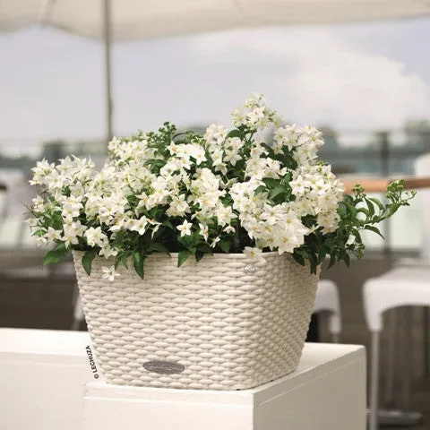 Lechuza Bacino Cottage White Self- Watering Planter