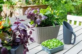 Lechuza Bacino Cottage White Self- Watering Planter