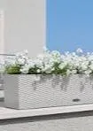 Lechuza Balconera 50 Cottage White Self-Watering Planters