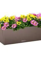 Lechuza Balconera 50 Nutmeg Self-Watering Planter