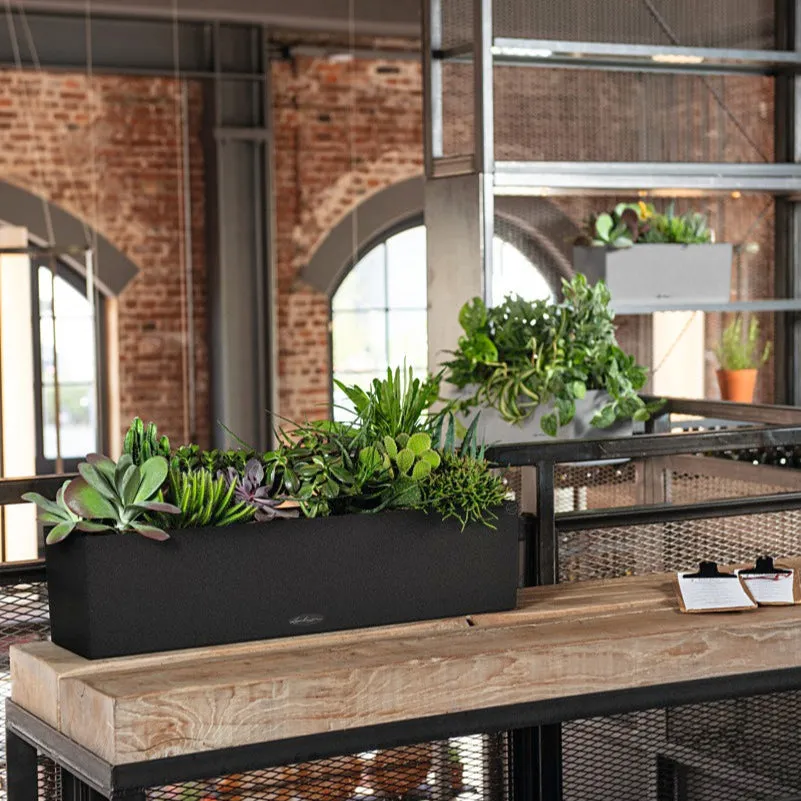 Lechuza Balconera 80 Graphite Black  Self-Watering Planter