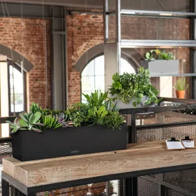 Lechuza Balconera 80 Graphite Black  Self-Watering Planter