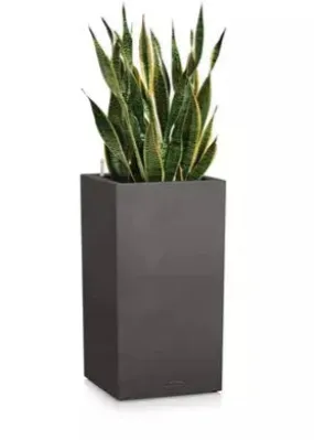 Lechuza Canto 30 High Graphite Self-Watering Planter