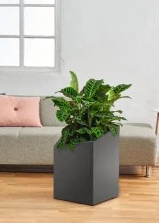Lechuza  Cursivo 30 Charcoal Self-Watering Planter