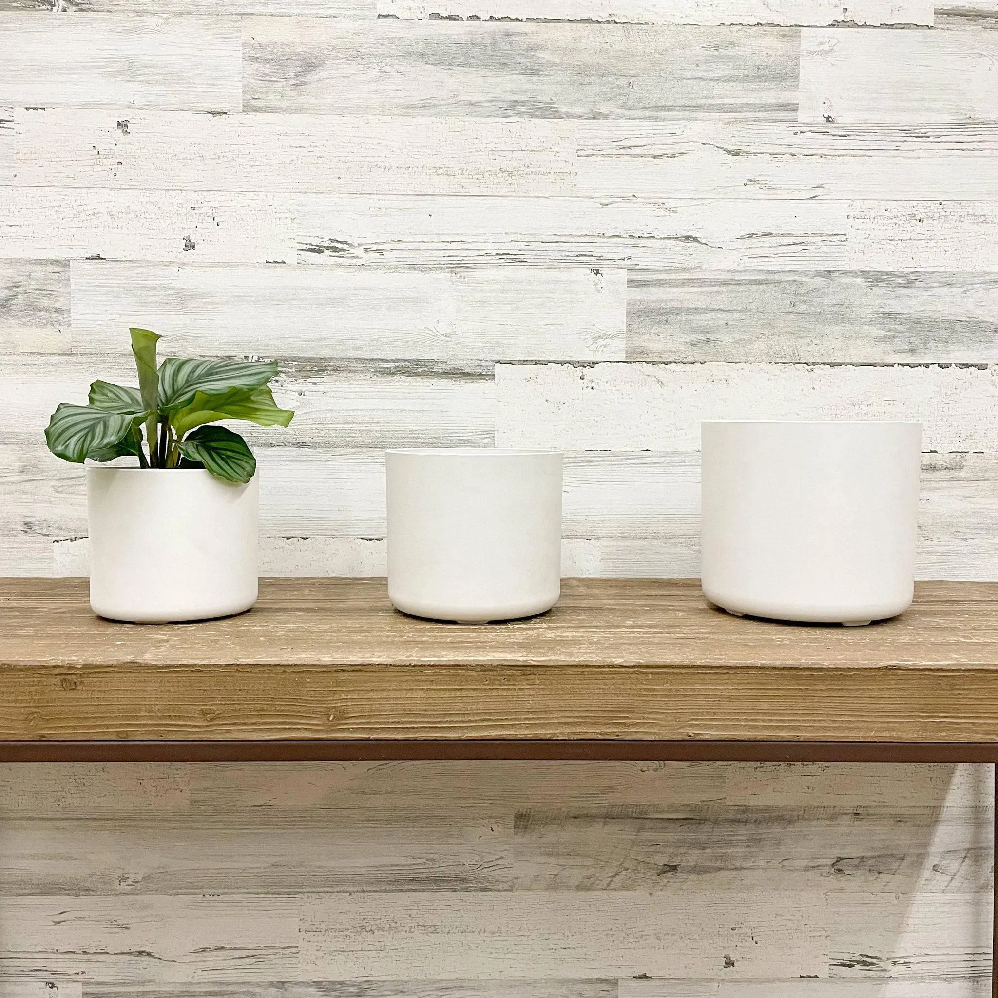Lena Cylinder Planter - White - 6-inches