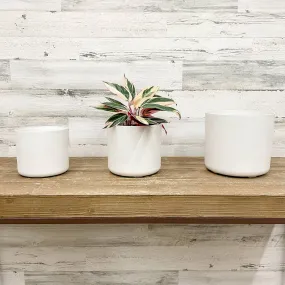 Lena Cylinder Planter - White - 7-inches