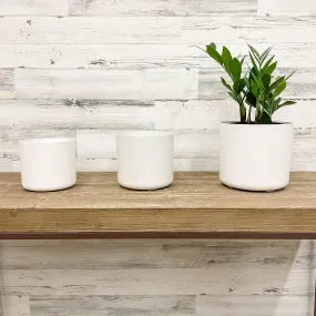 Lena Cylinder Planter - White - 8-inches