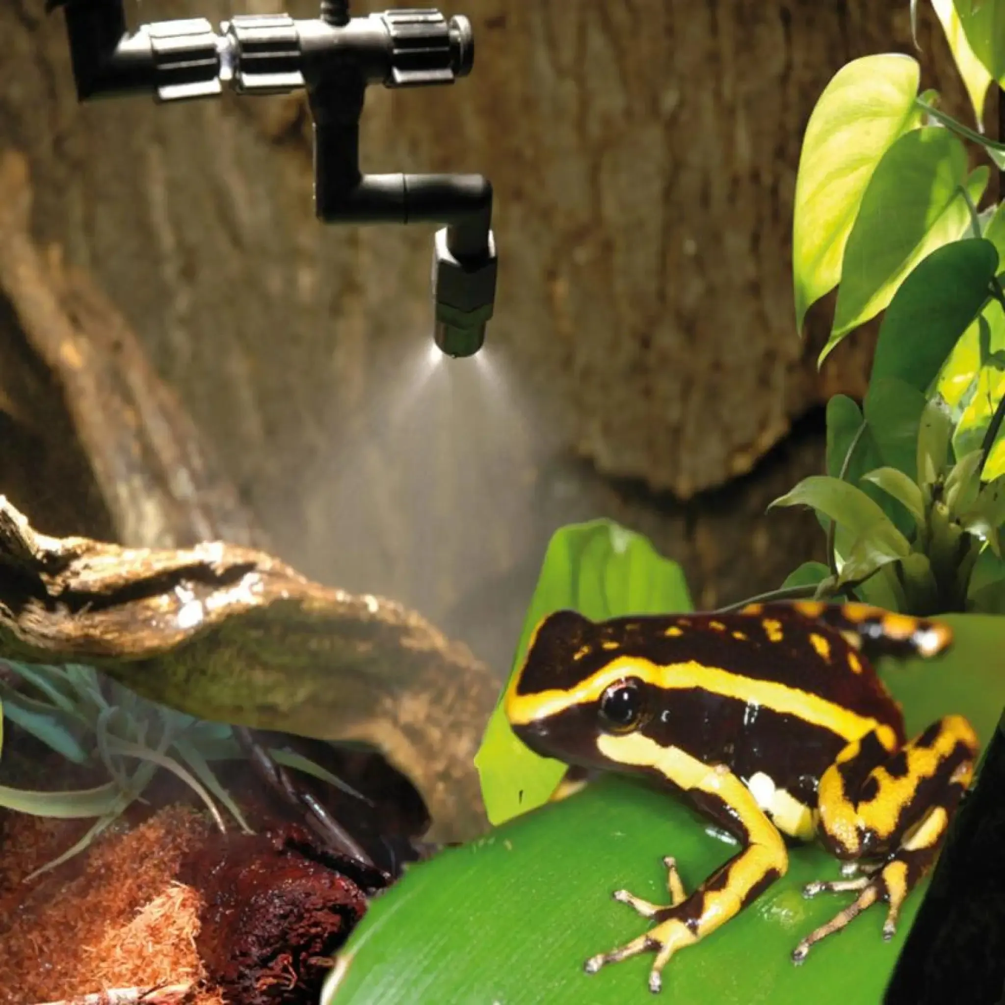 Lucky Reptile SuperRain II - Mist System