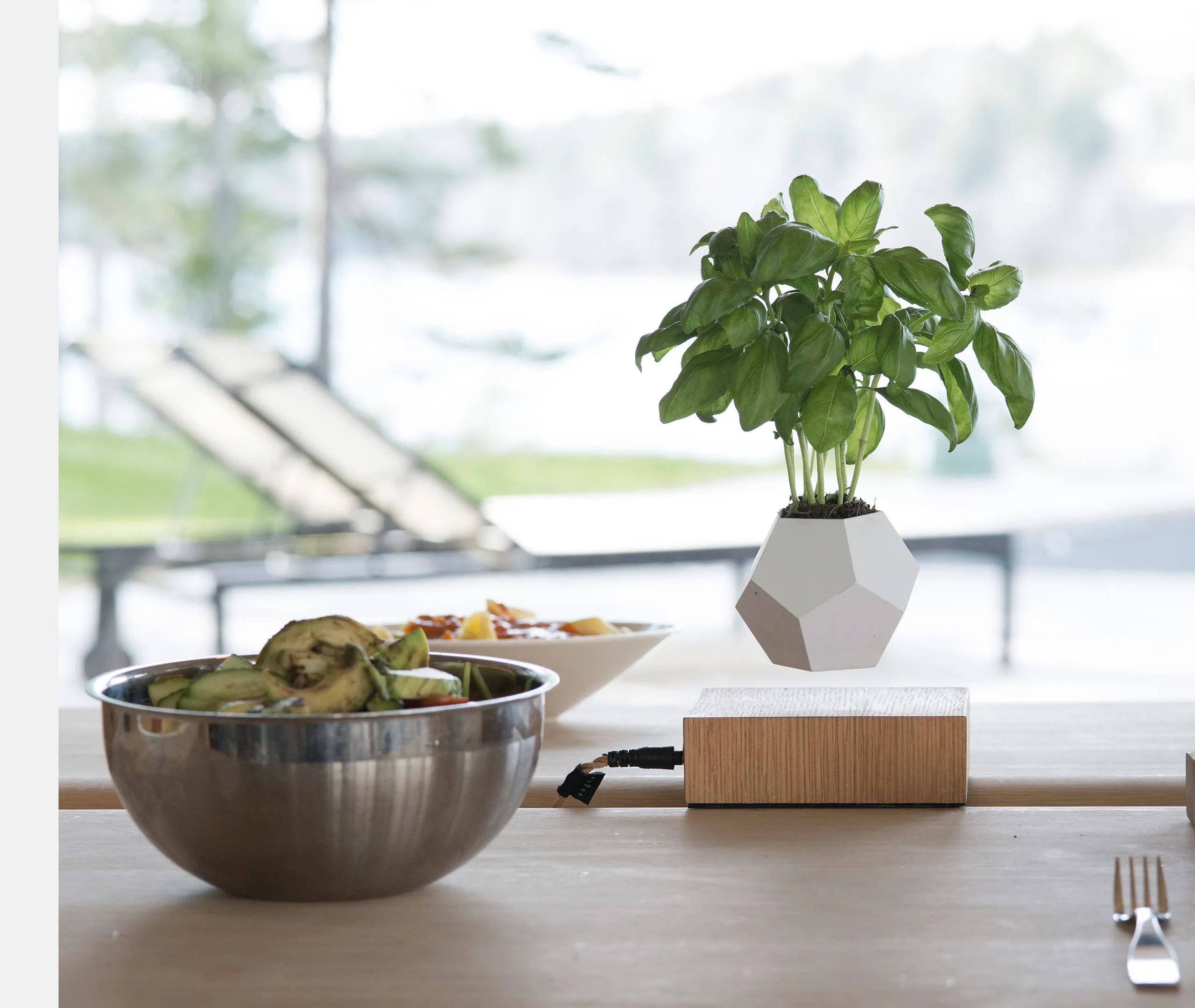 Lyfe Planter - Walnut