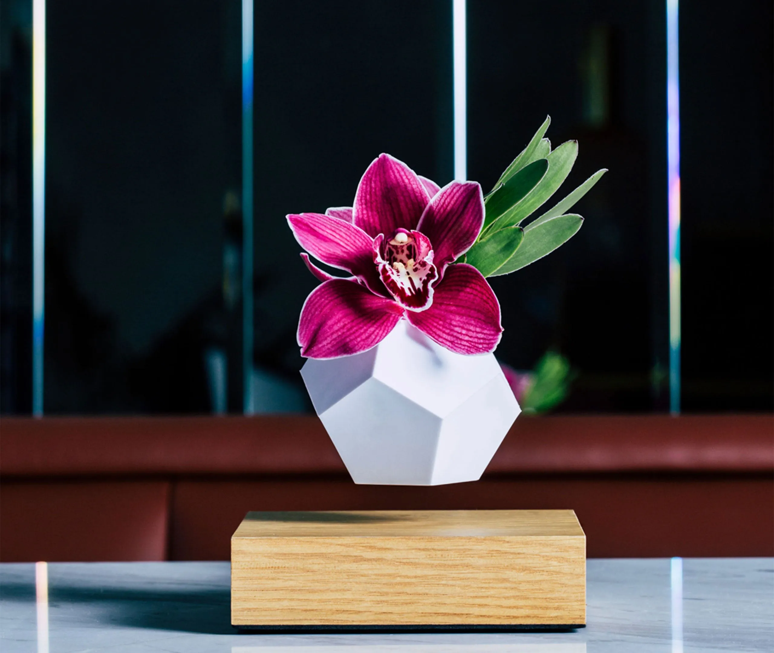Lyfe Planter - Walnut