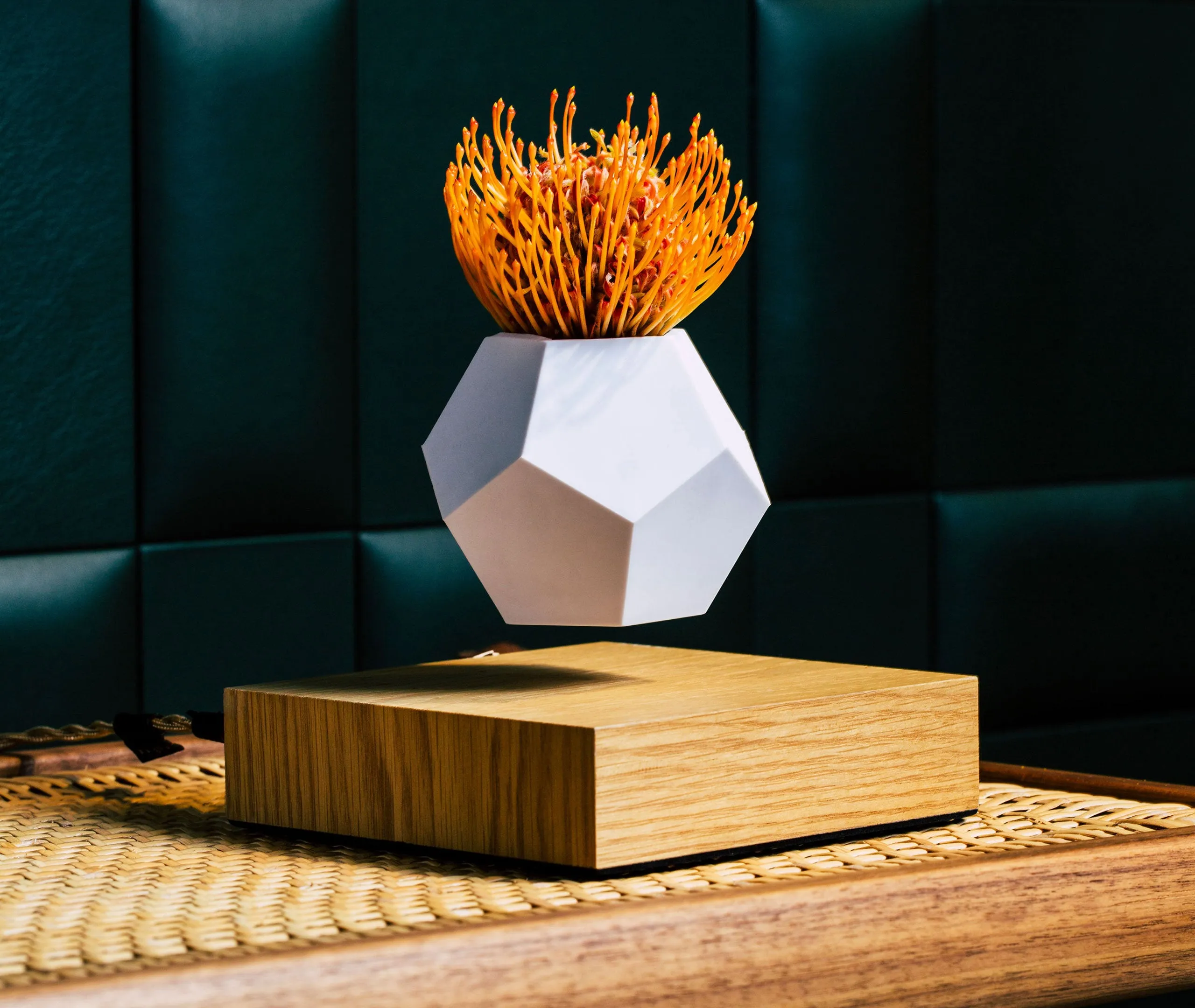 Lyfe Planter - Walnut