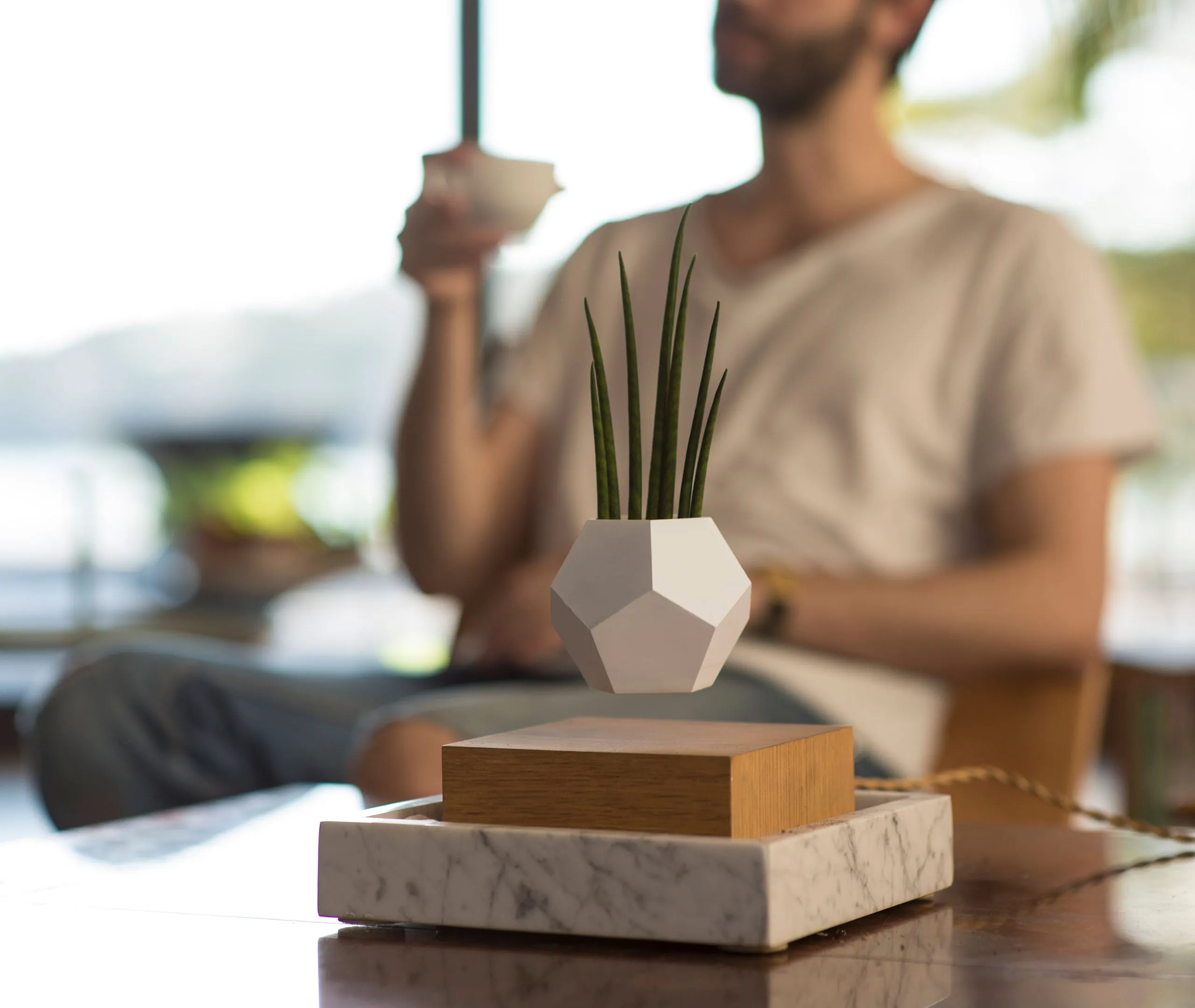 Lyfe Planter - Walnut