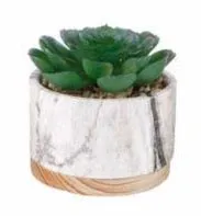 Marble   Wood Succulent Planter