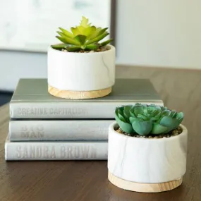 Marble   Wood Succulent Planter