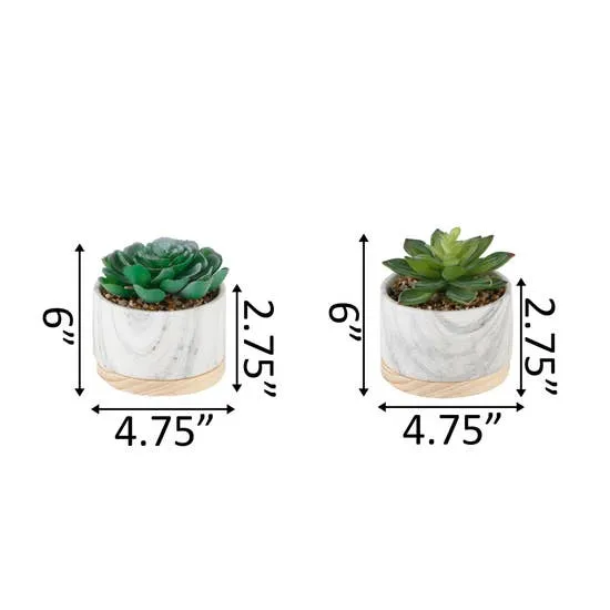 Marble   Wood Succulent Planter