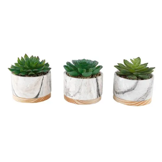Marble   Wood Succulent Planter