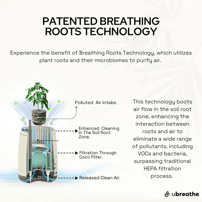 Mini Lite Planter | Compact Air Purifier & Portable Fresh Air System