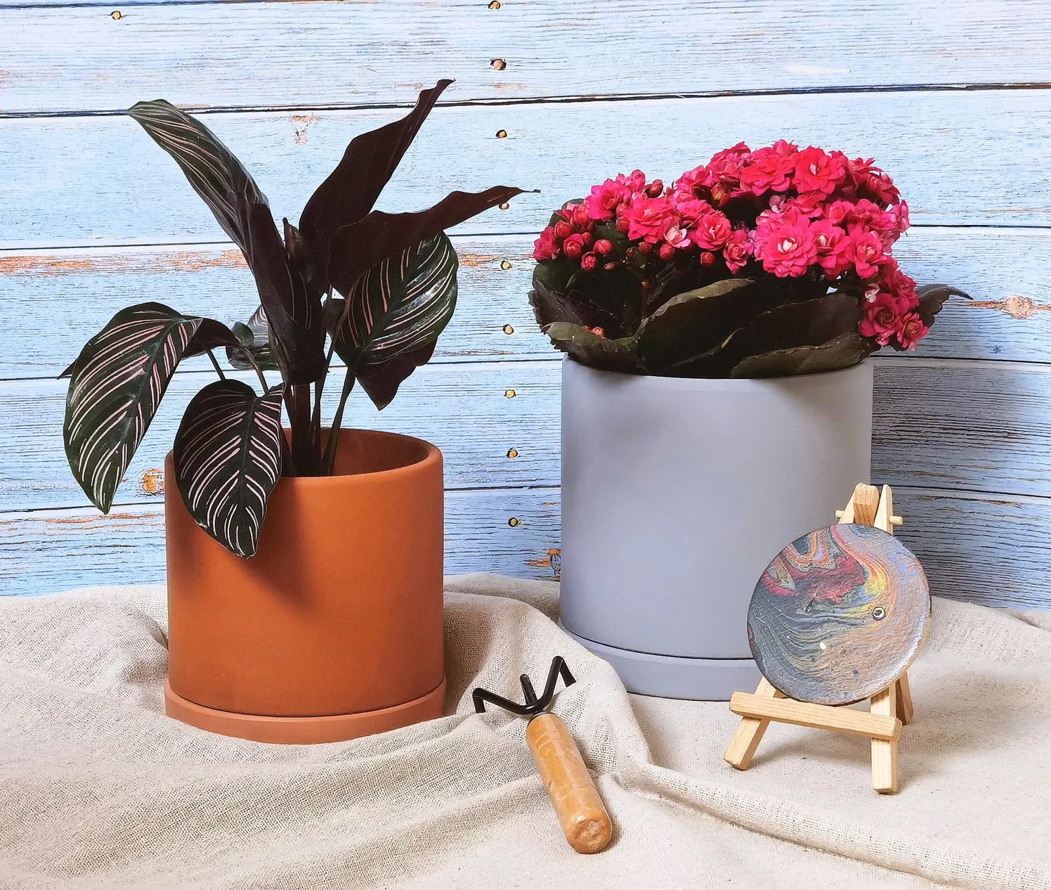 Minimalist Style Terracotta Pots 3-pack with Saucer for Succulent Plants Cacti House Plants 4 Inch, 5 Inch  6 Inch