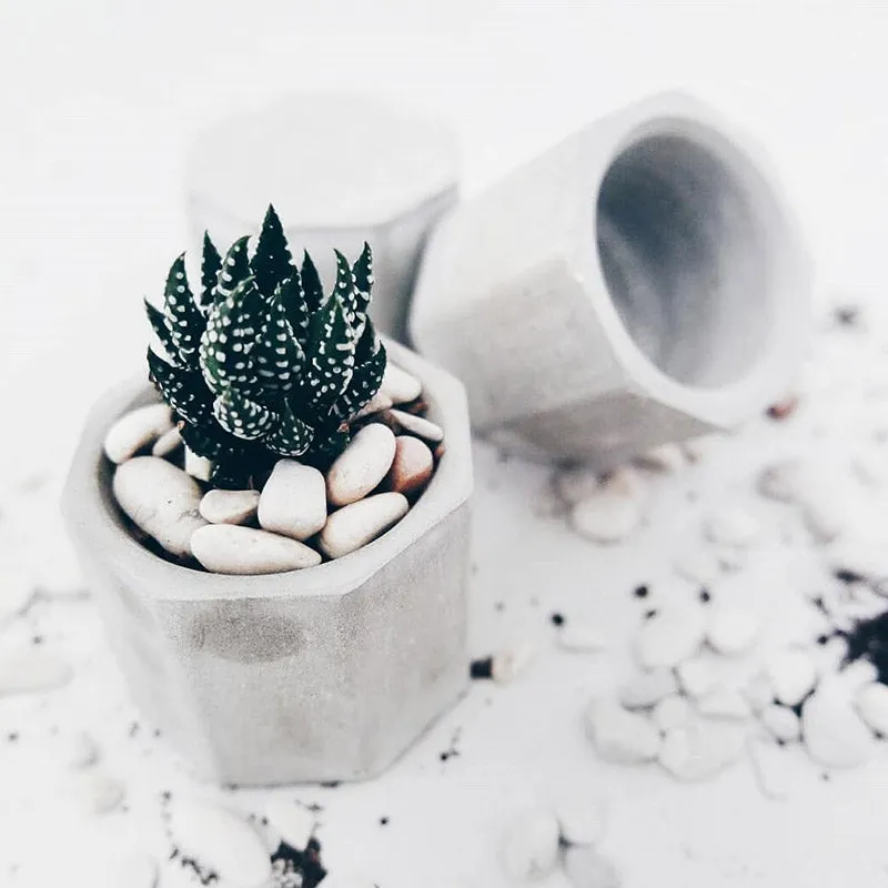 Octagonal Silicone Concrete Flower Pot Mold