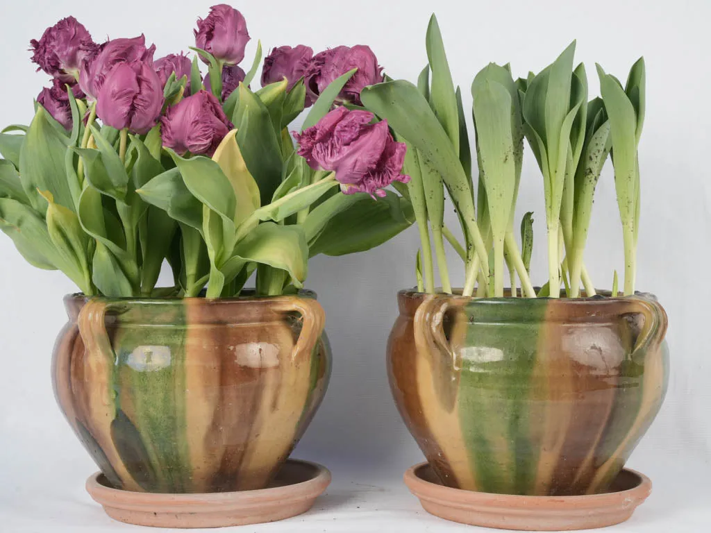 Pair of antique French Anduze flower pots featuring yellow, green & brown glaze 8¾"