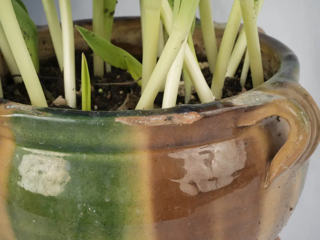 Pair of antique French Anduze flower pots featuring yellow, green & brown glaze 8¾"