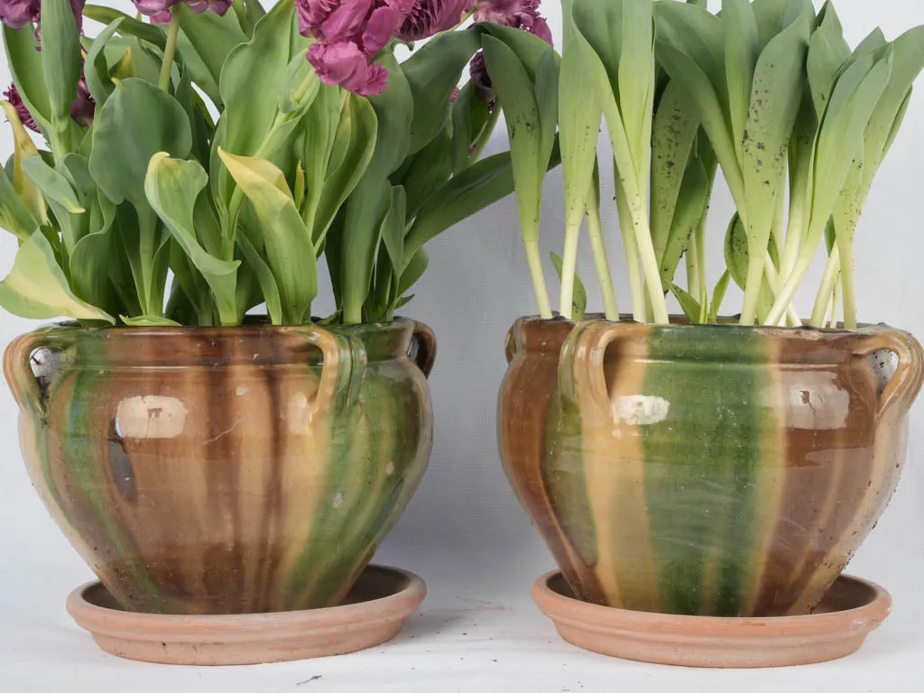 Pair of antique French Anduze flower pots featuring yellow, green & brown glaze 8¾"