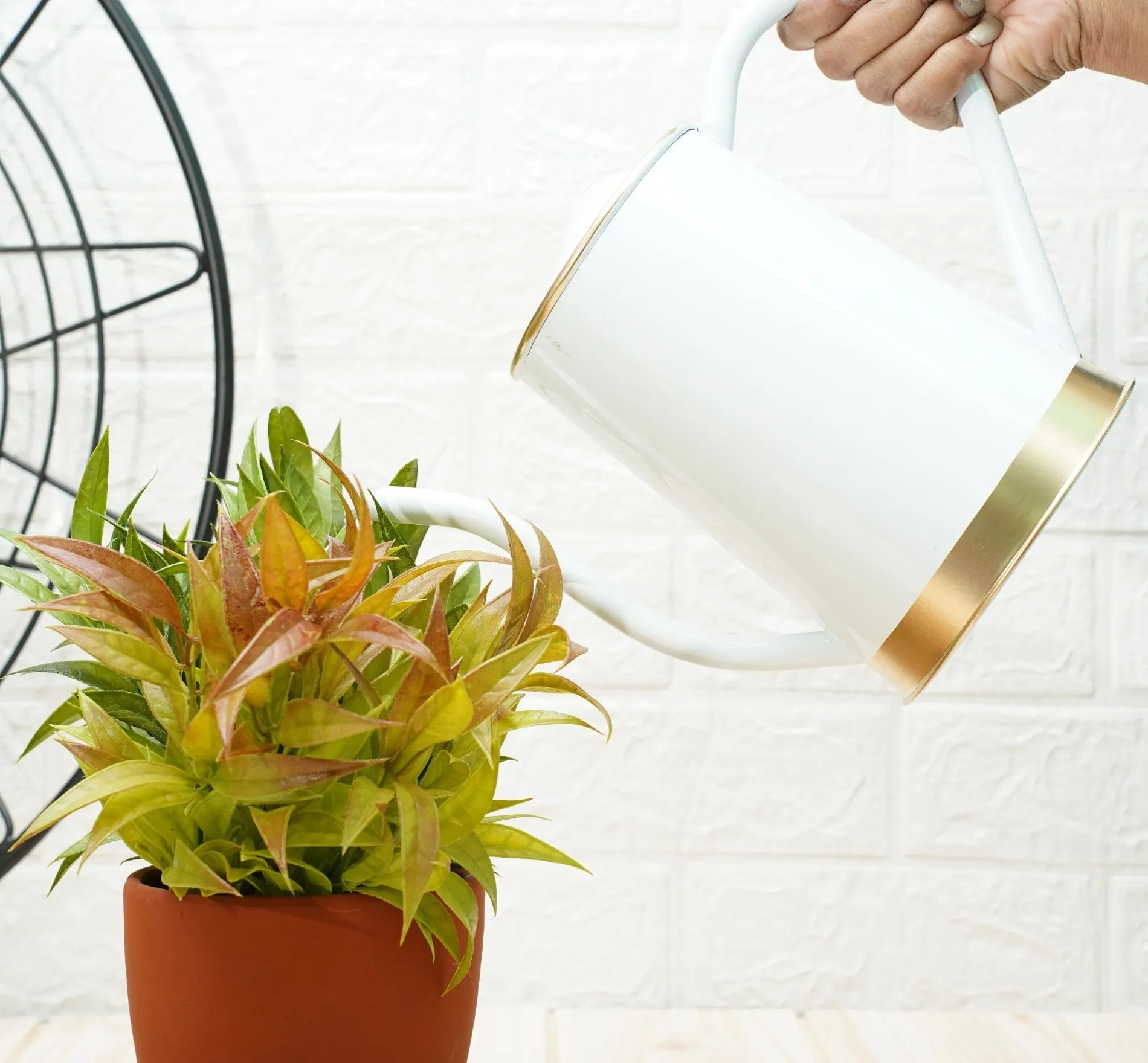 Plant Watering Can | Garden Accessories -White (1.5 Lt)