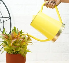Plant Watering Can | Garden Accessories - Yellow (1.5 Lt)