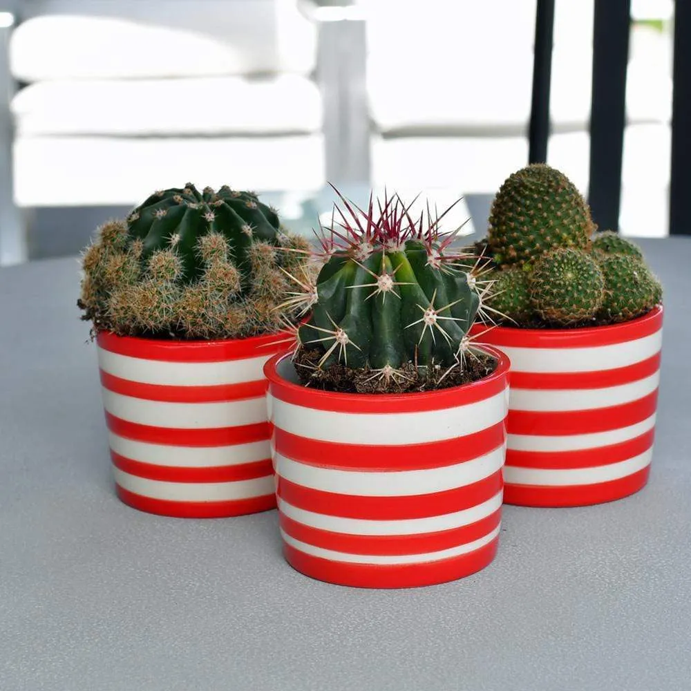 Pot en céramique "Costa nova" - Rouge