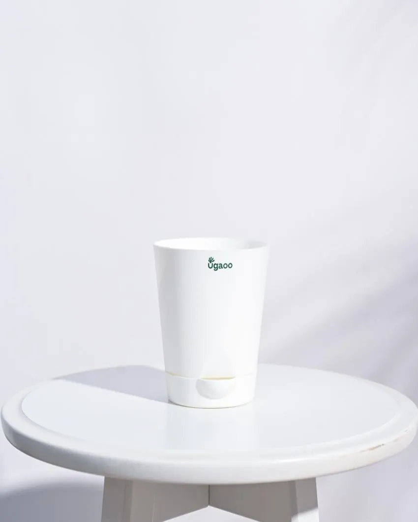 Premium Self-Watering Plastic Pots | Set of 5 | 4 inches