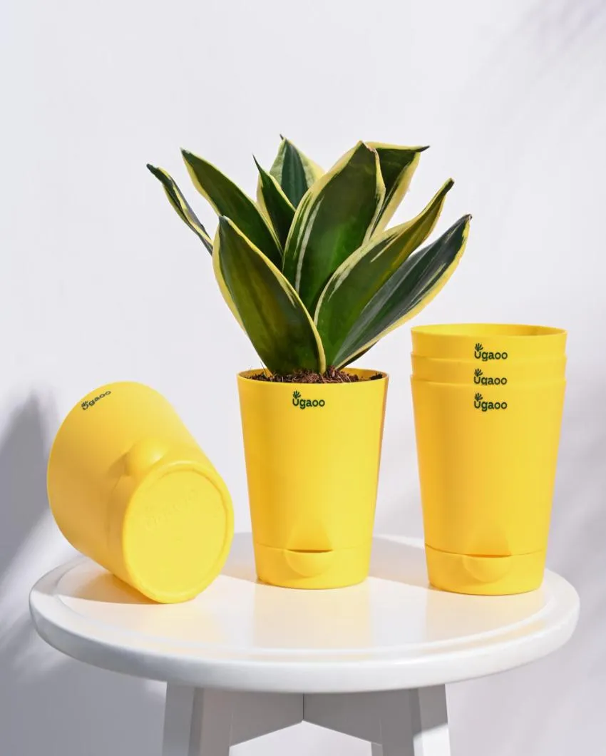 Premium Self-Watering Plastic Pots | Set of 5 | 4 inches