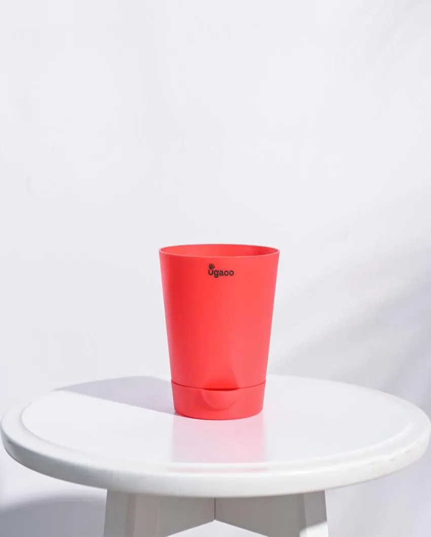 Premium Self-Watering Plastic Pots | Set of 5 | 4 inches