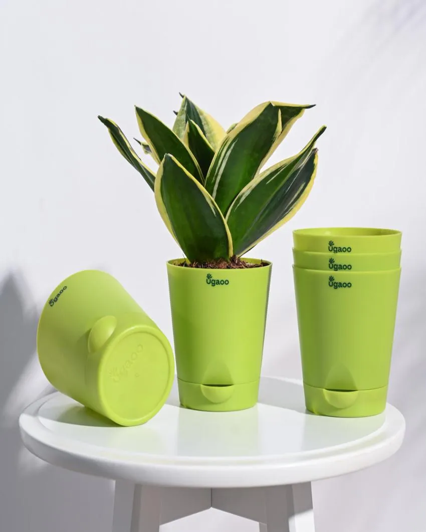 Premium Self-Watering Plastic Pots | Set of 5 | 4 inches