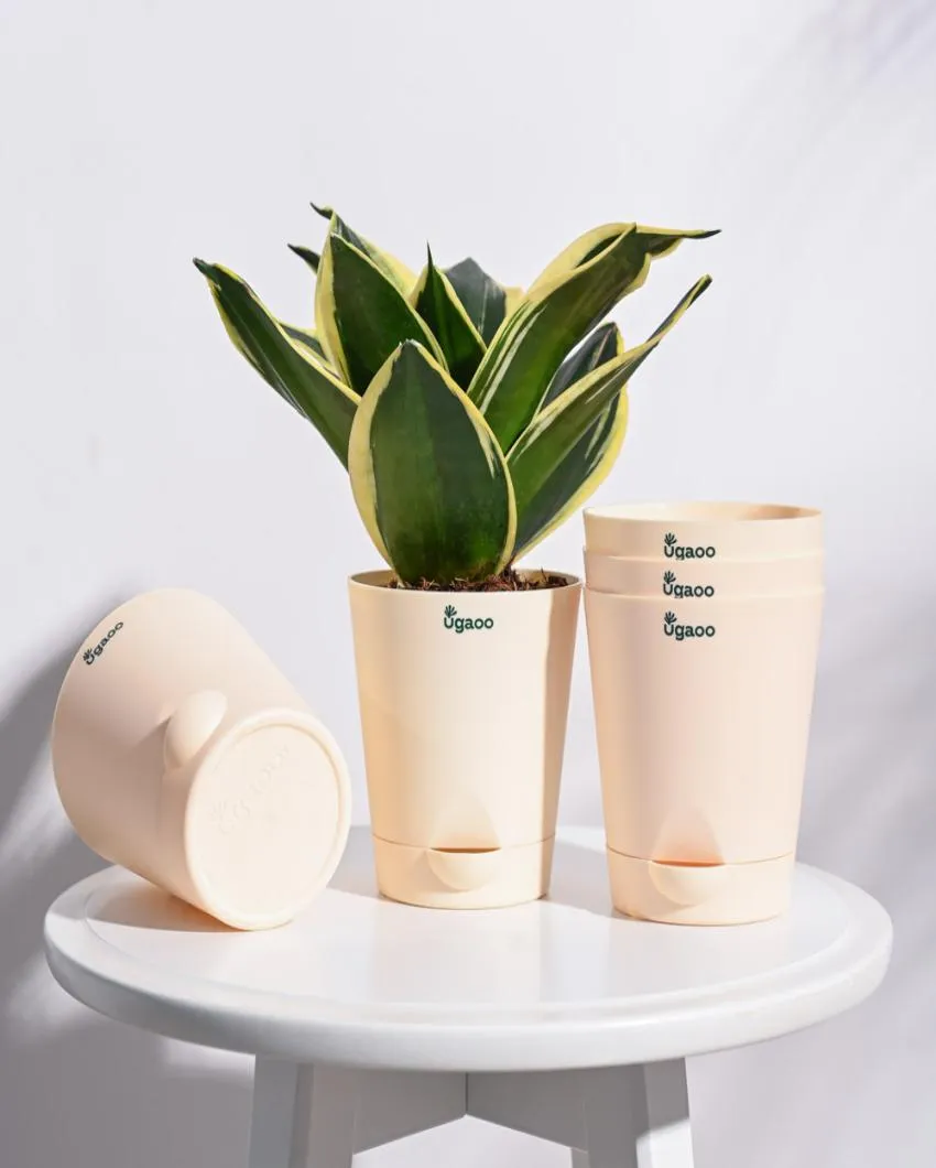 Premium Self-Watering Plastic Pots | Set of 5 | 4 inches