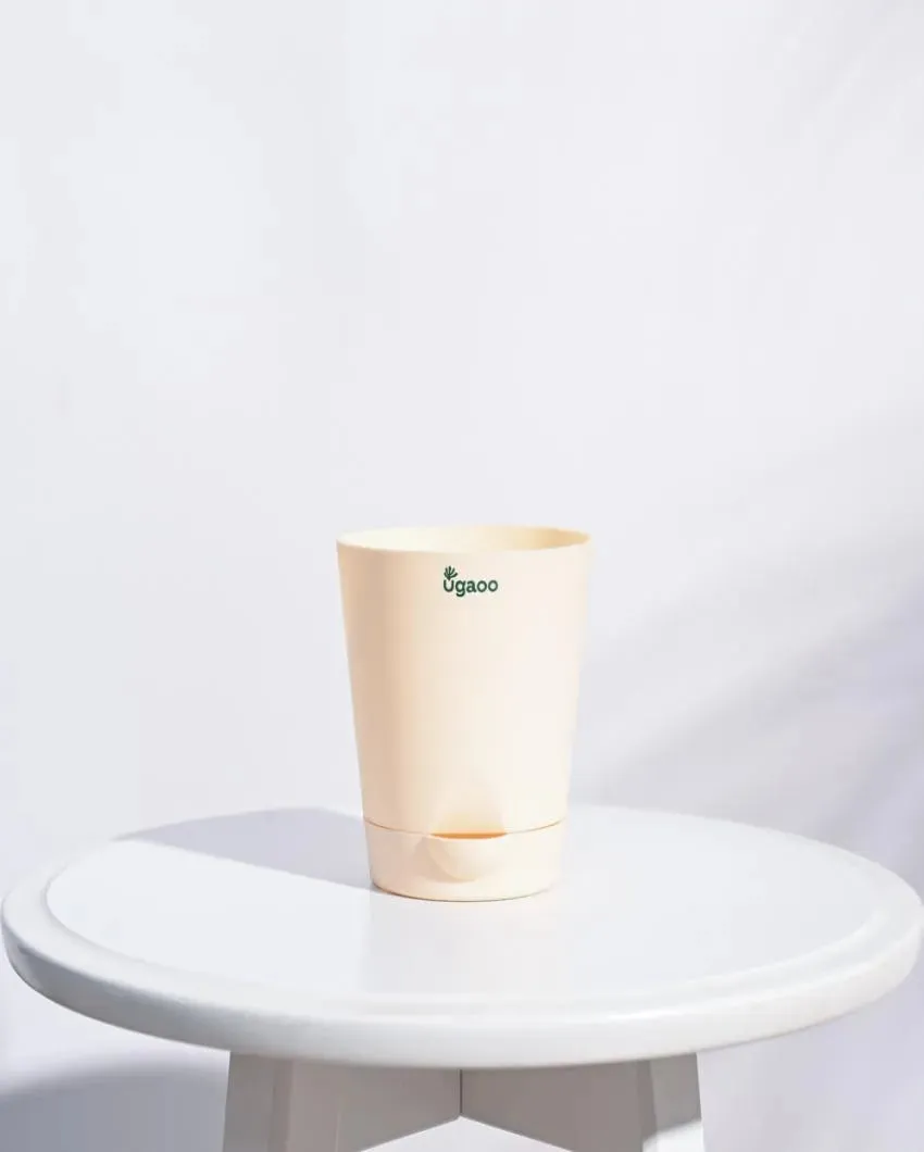 Premium Self-Watering Plastic Pots | Set of 5 | 4 inches
