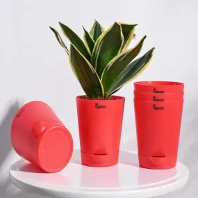 Premium Self-Watering Plastic Pots | Set of 5 | 4 inches