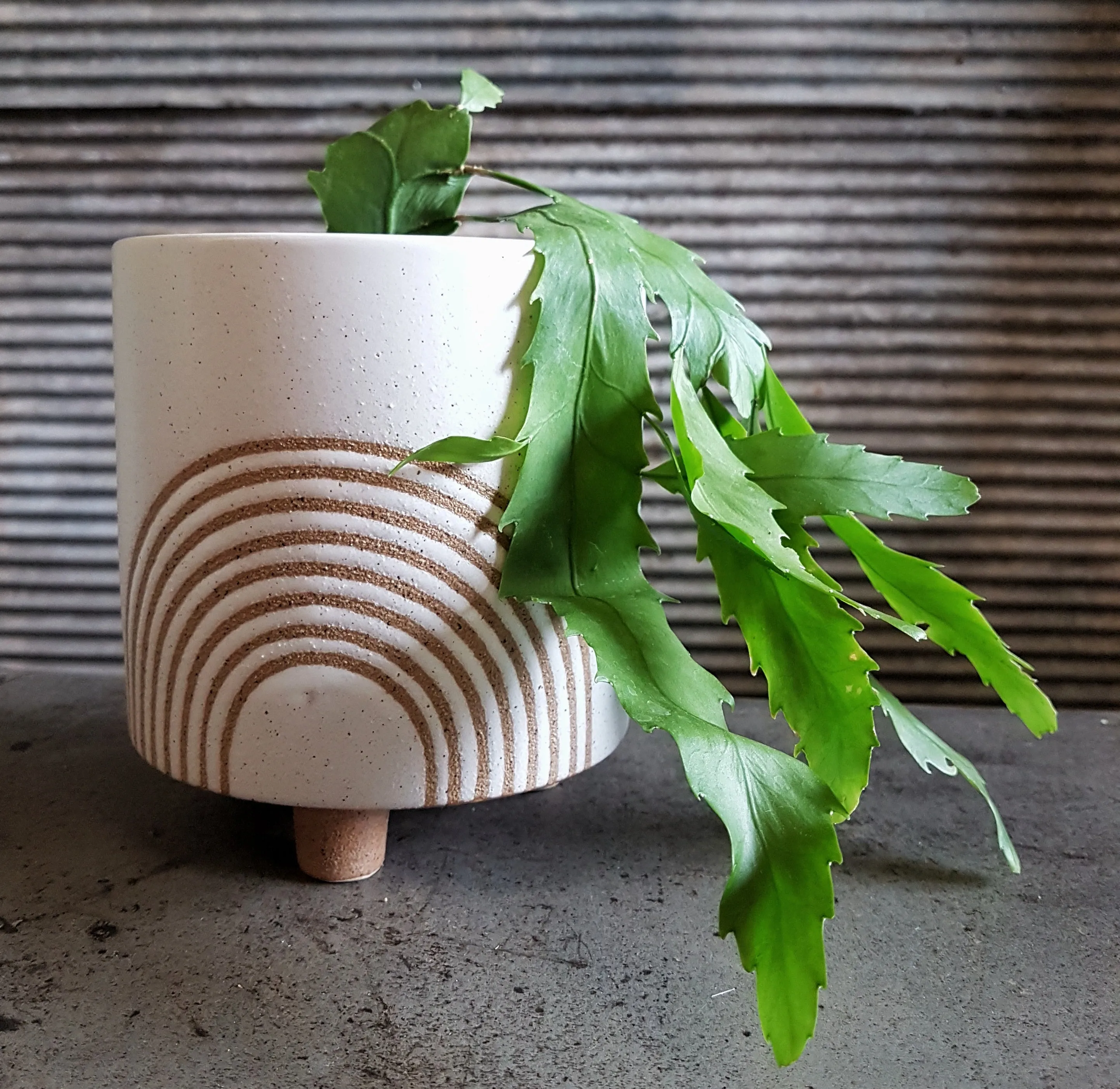 Rainbow pot on legs - Small - Assorted colours