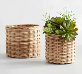 Rattan Plant Pots | Cane Flower Pots | Bamboo Planters - Ishana