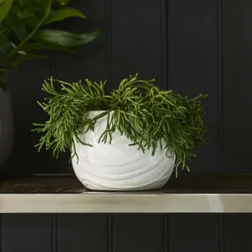 RM Madison Planter
