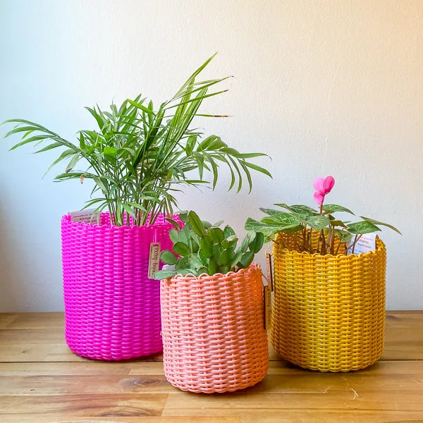 round 'catch all' / planters - custom