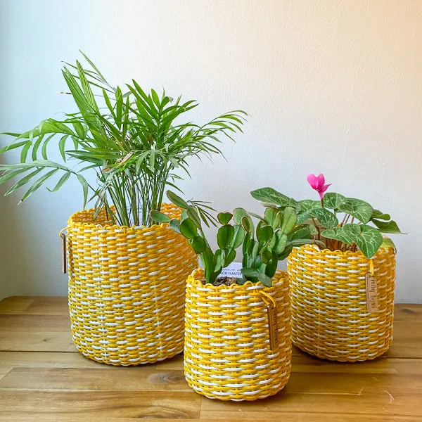 round 'catch all' / planters - custom