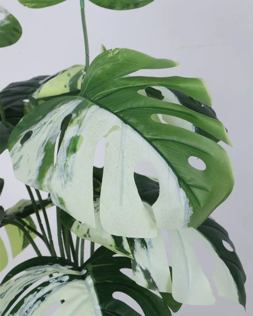 Saniro Artificial Pvc Monsters Silk Plant with Black Pot | 1.8 Feet