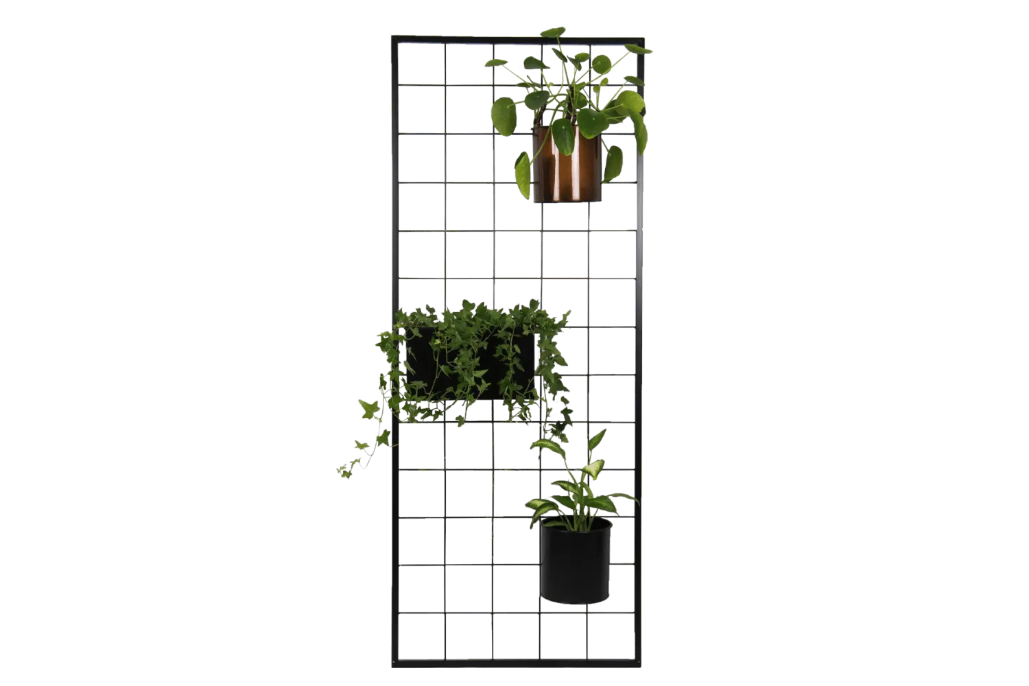 Sara grid for mounting on the wall 150 x 60 cm