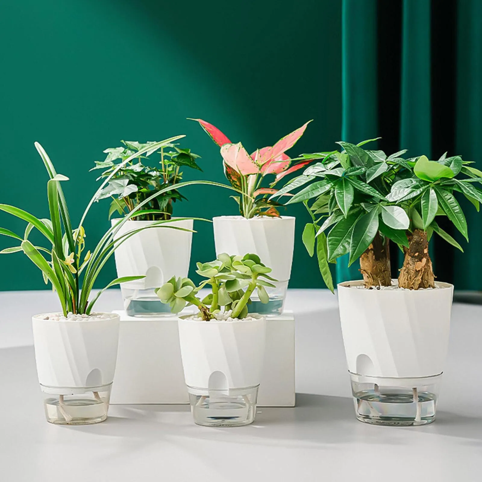 Self Watering Planter