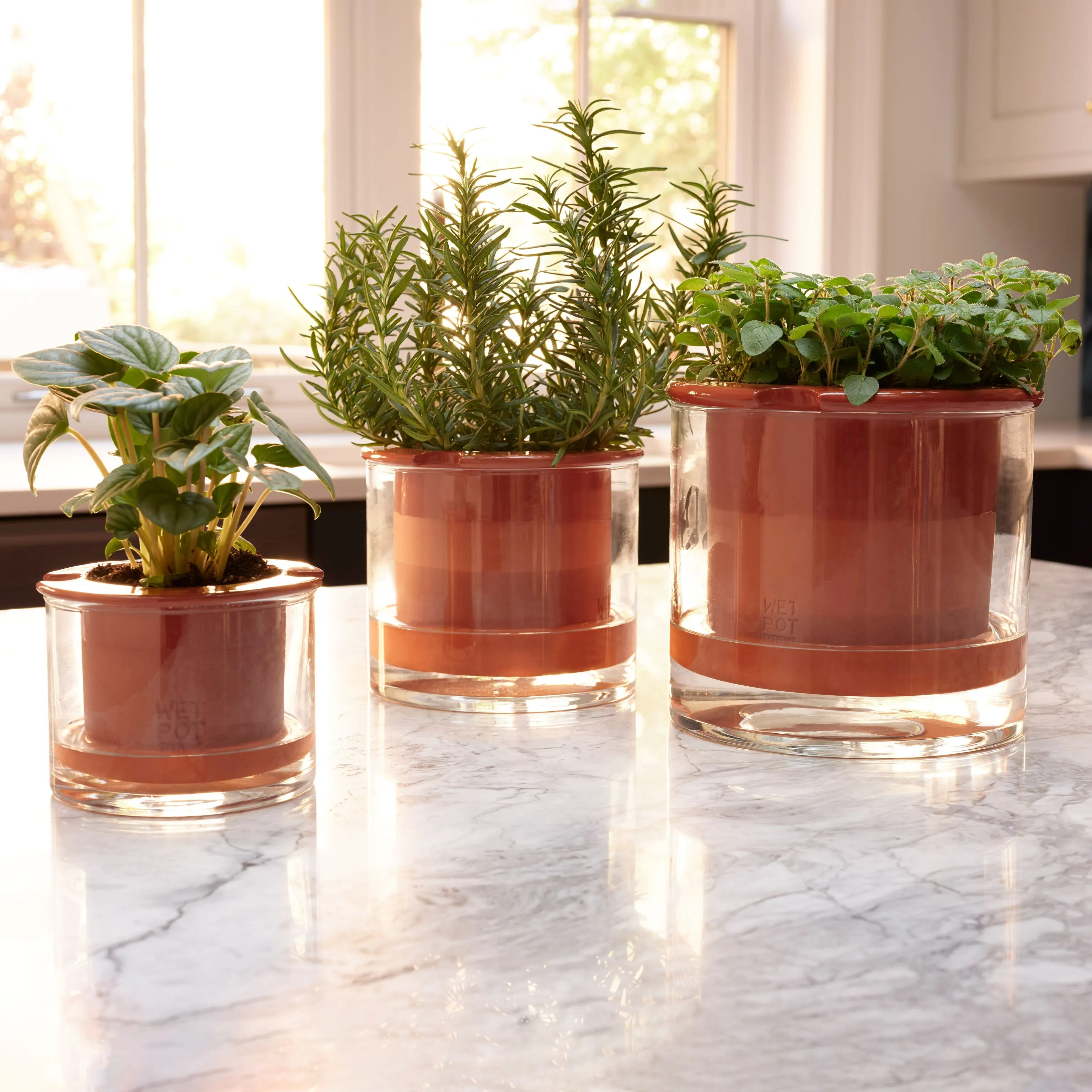 Self-Watering Wet Pots - Medium