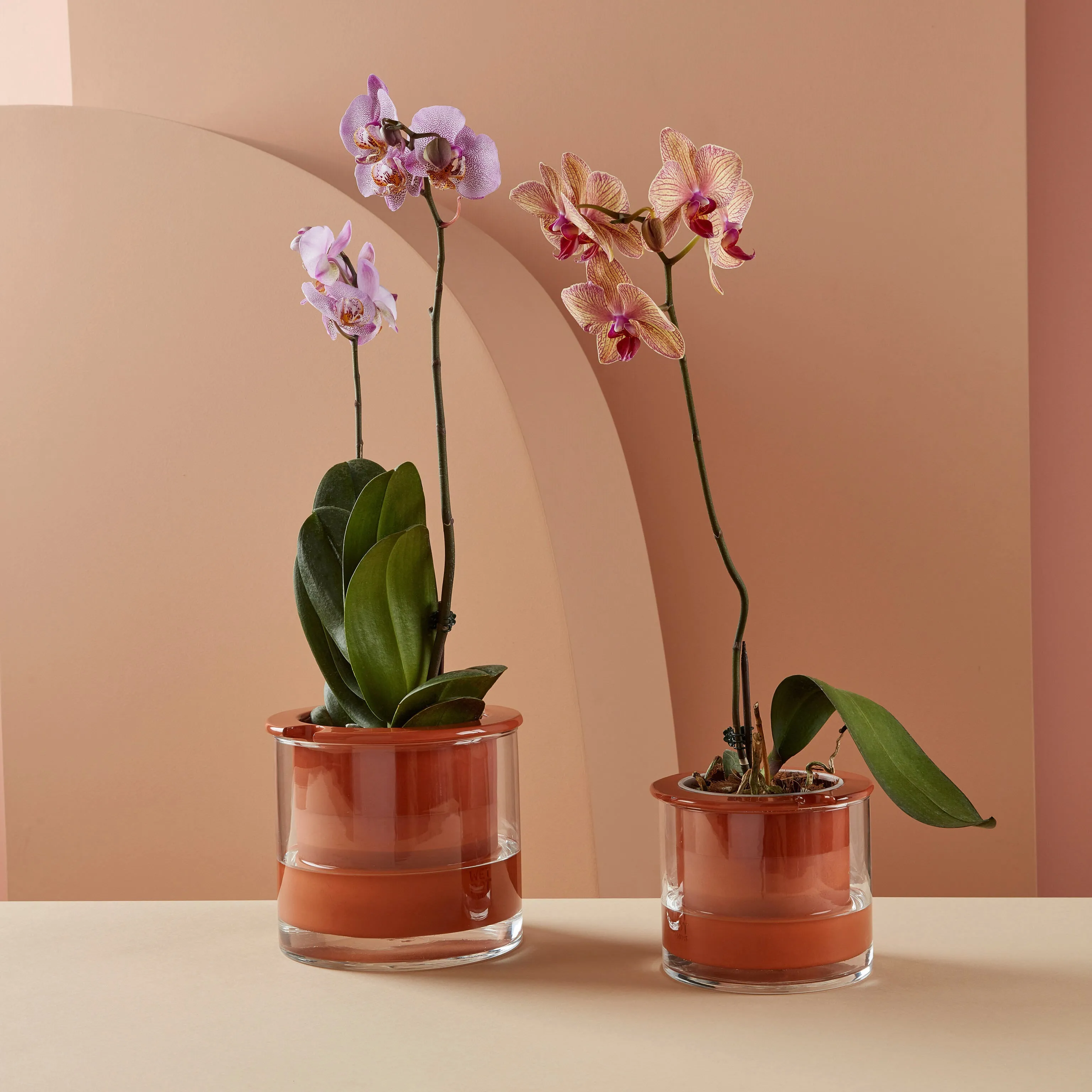 Self-Watering Wet Pots - Medium