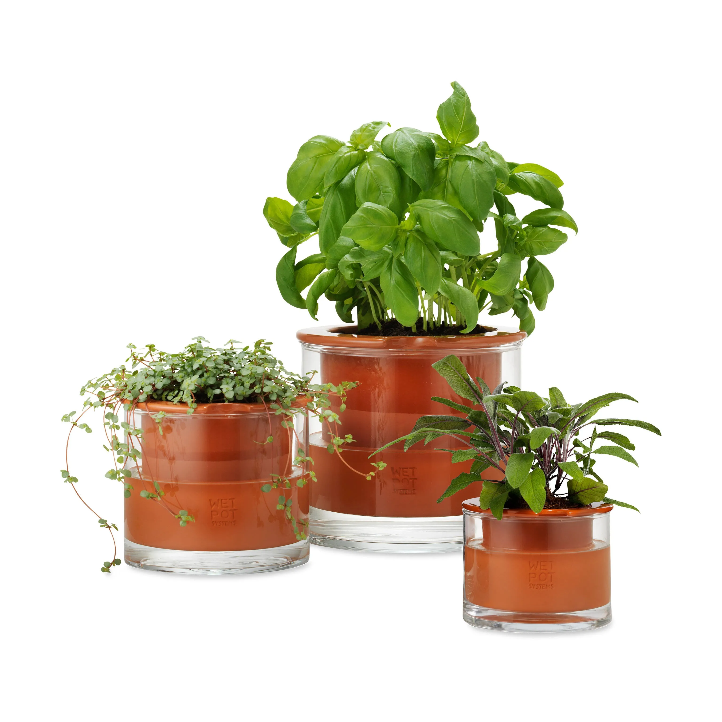 Self-Watering Wet Pots - Medium