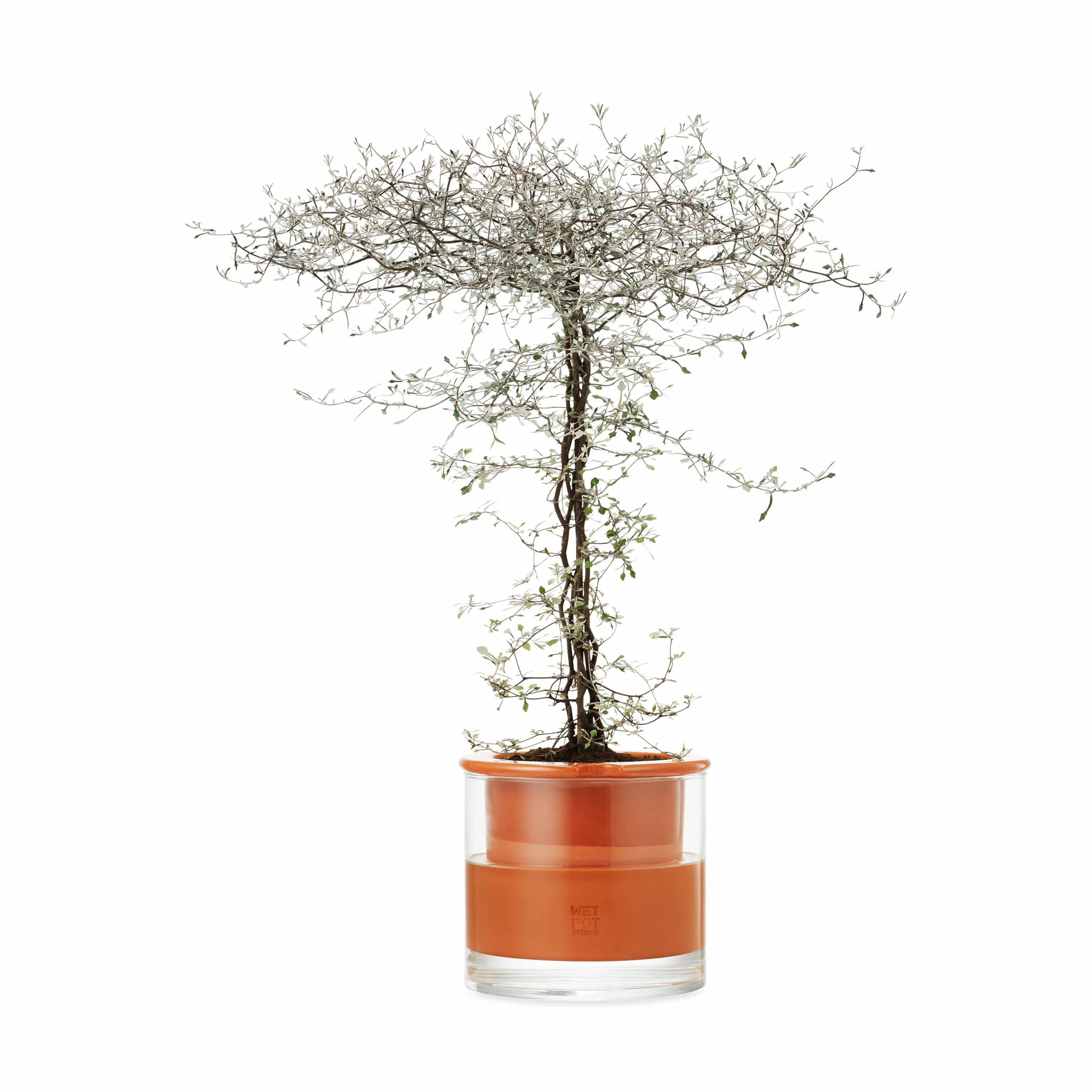Self-Watering Wet Pots - Medium