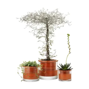 Self-Watering Wet Pots - X-Small