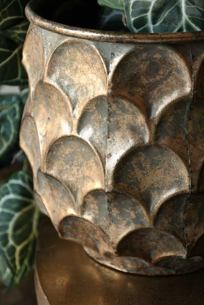 Set Of 2 Petal Effect Planters